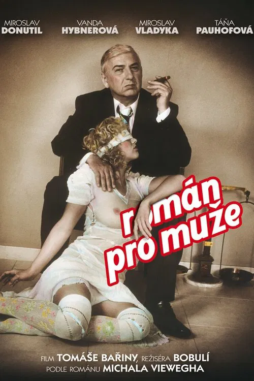 Román pro muže movie poster