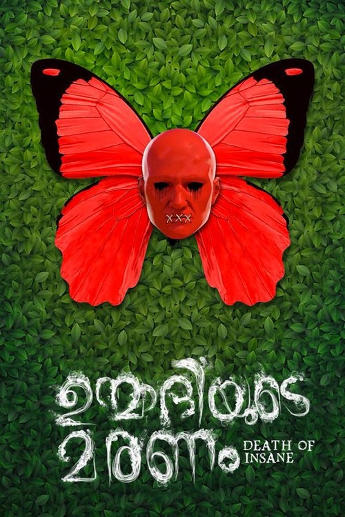 Poster do filme Death of Insane