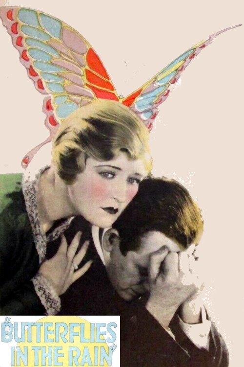 Butterflies in the Rain movie poster