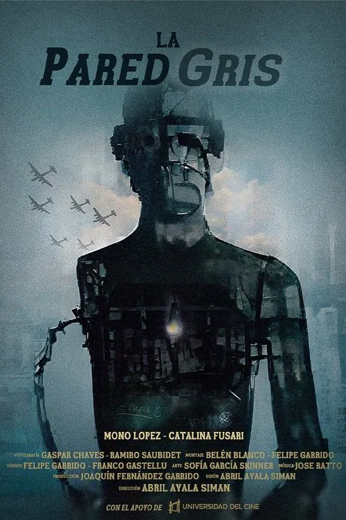 La pared gris movie poster