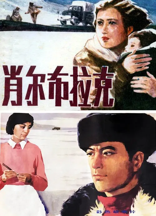 肖尔布拉克 movie poster