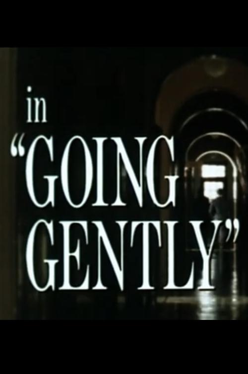 Going Gently movie poster