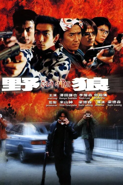 Poster do filme Color of Pain