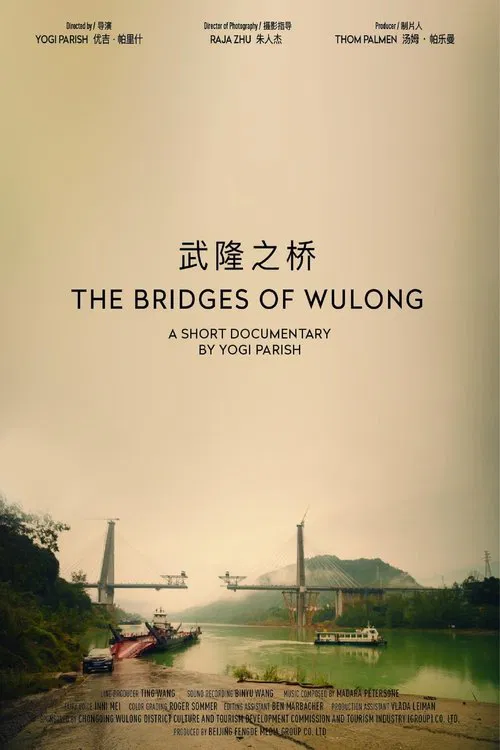 The Bridges Of Wulong movie poster