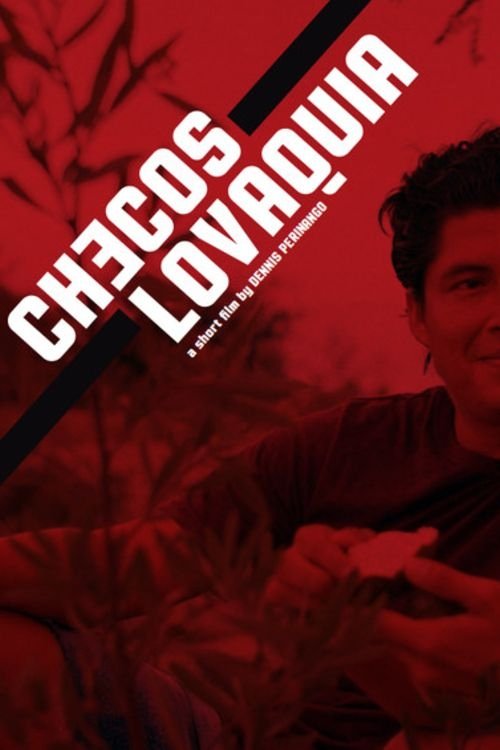 Czechoslovakia movie poster