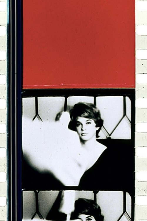 Schwechater movie poster