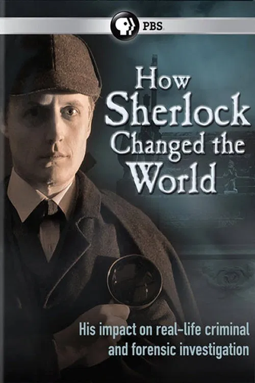 How Sherlock Changed the World movie poster