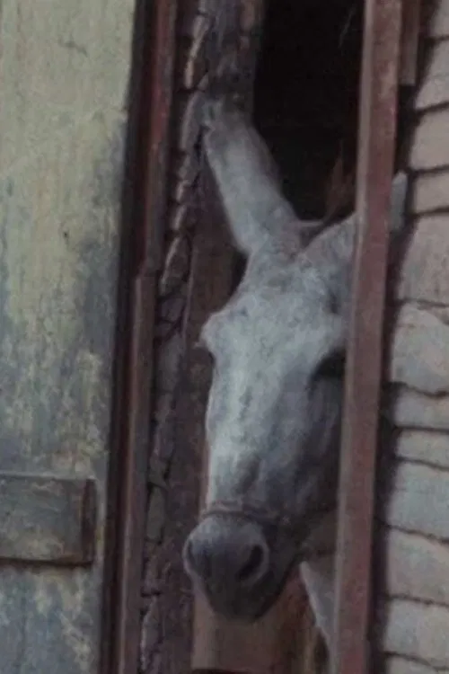 Machete Gillette... Mama movie poster