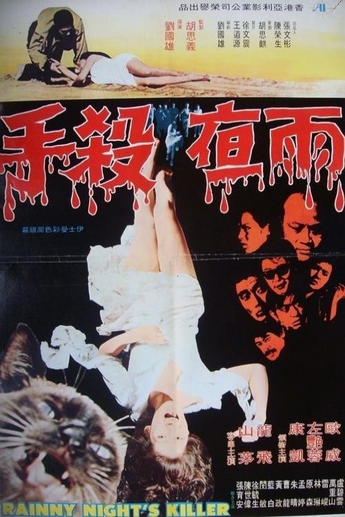 Rainy Night's Killer movie poster