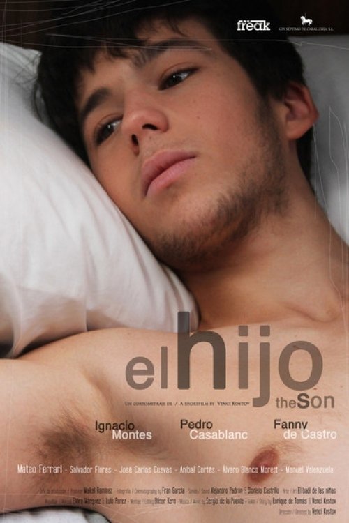 Poster do filme O Filho