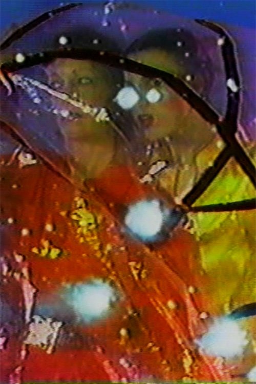 Double Lunar Dogs movie poster