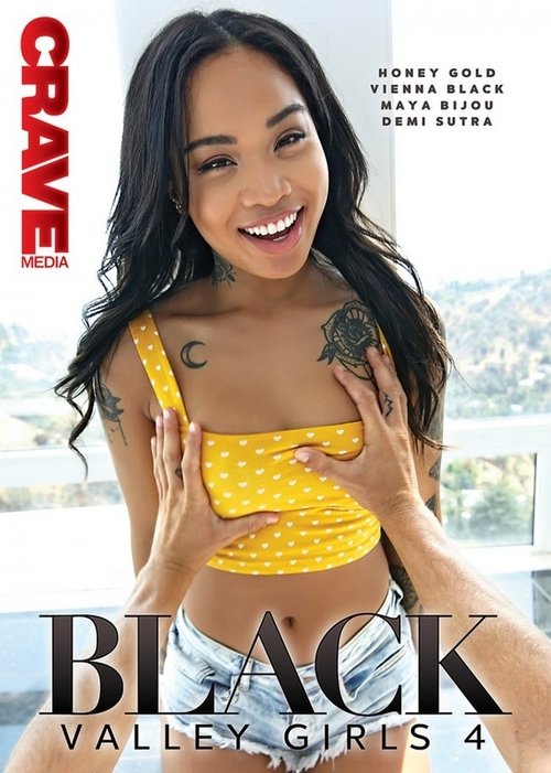 Black Valley Girls 4 movie poster