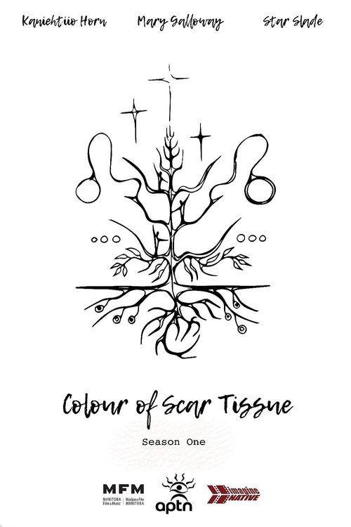 Colour of Scar Tissue tv show poster