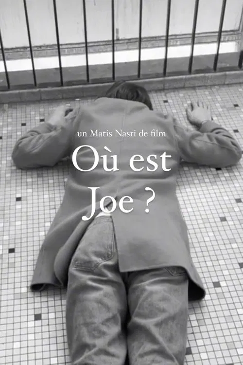 Où est Joe movie poster