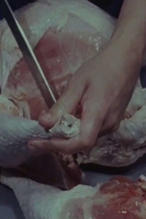 Forced to Disappear movie poster