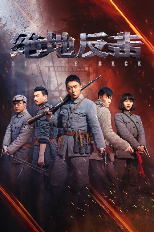 Strike Back tv show poster