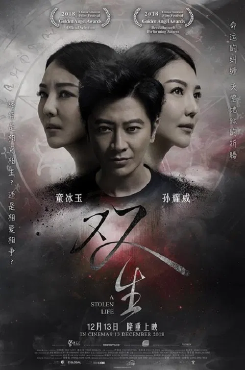 A Stolen Life movie poster