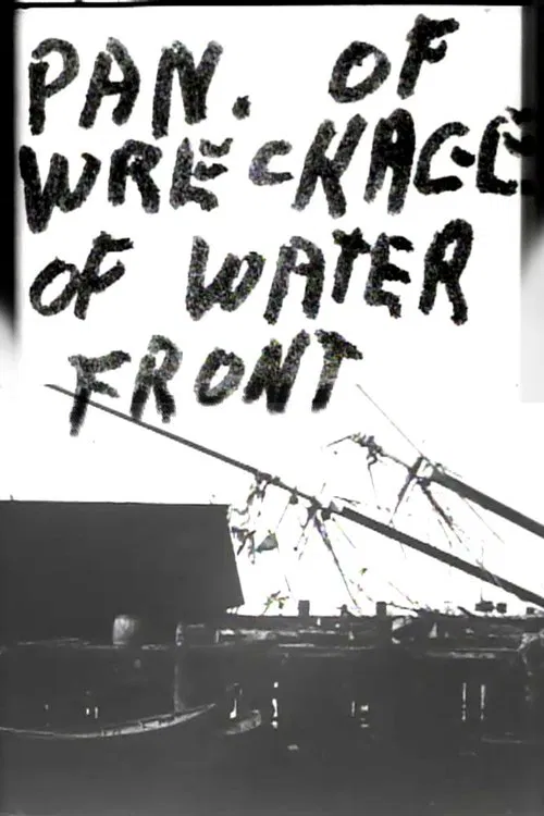 Panorama of Wreckage of Water Front movie poster