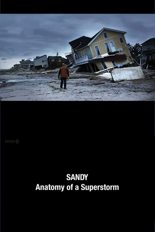 Sandy: Anatomy of a Superstorm movie poster