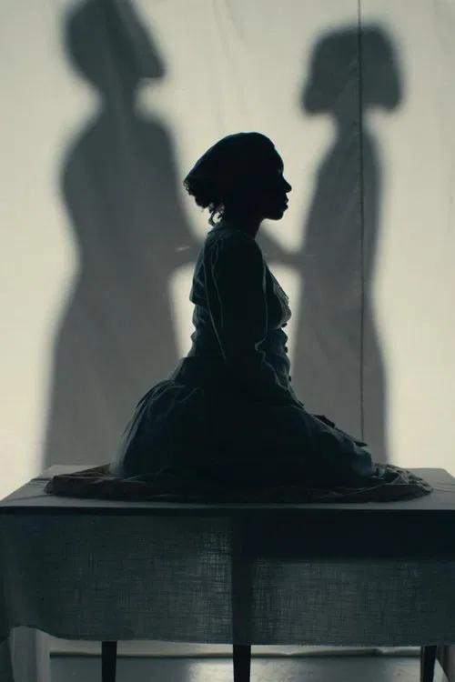 Bone Black: Midwives vs. the South movie poster