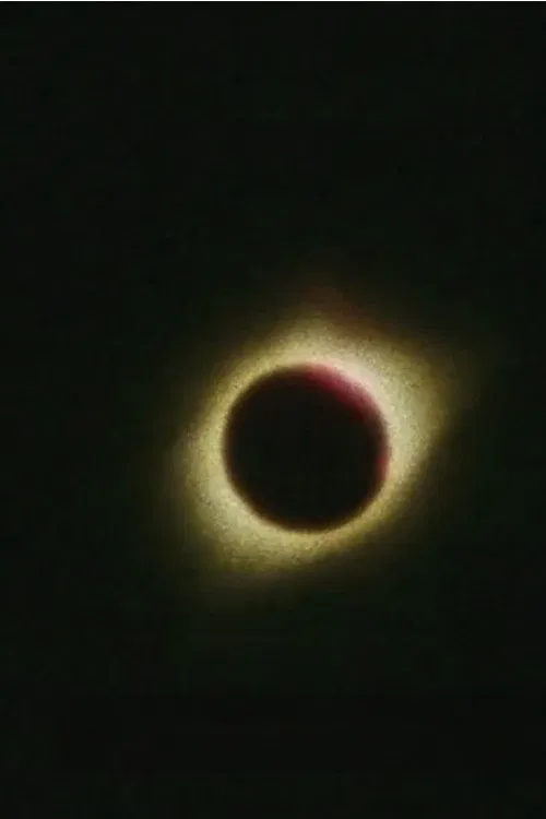 What Lit the Earth movie poster