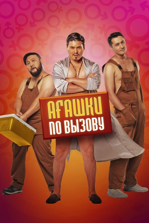 Bros on Call movie poster