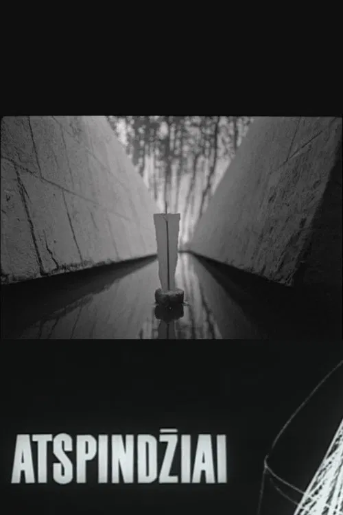 Reflections movie poster