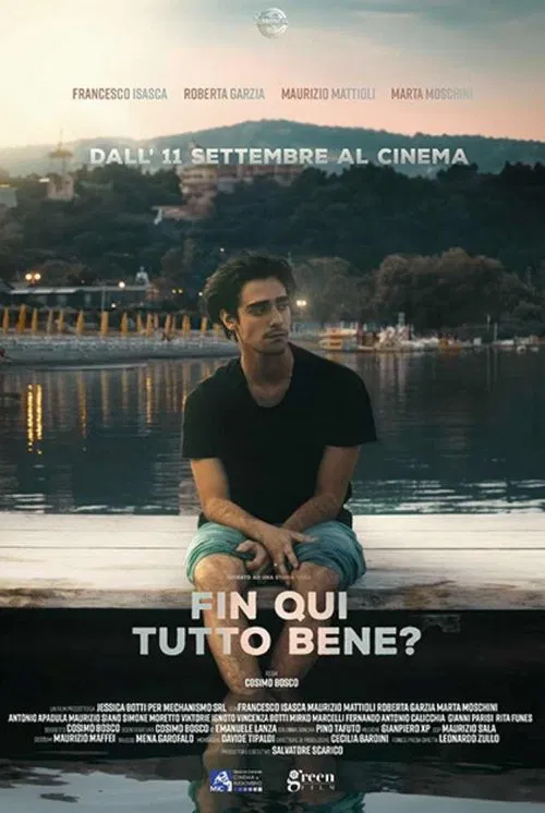 Fin qui tutto bene? movie poster