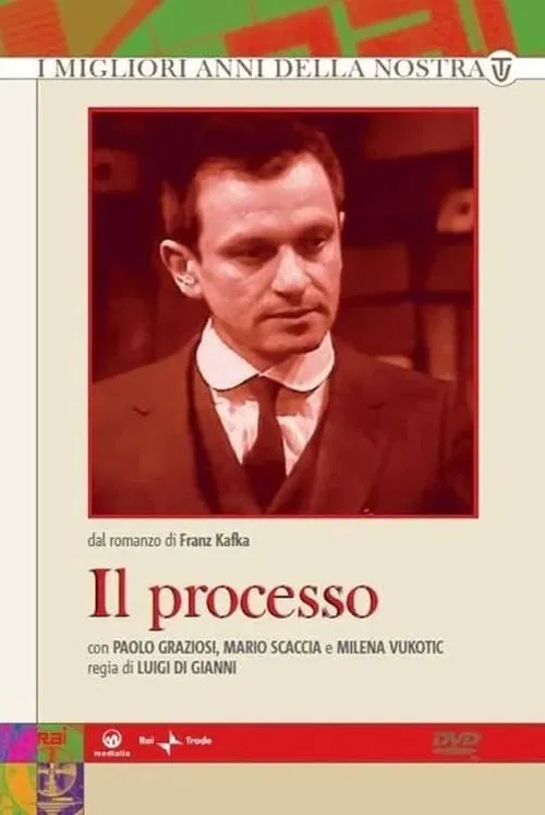 Il processo tv show poster