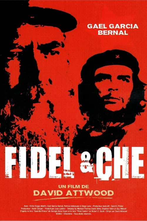 Poster do filme Fidel