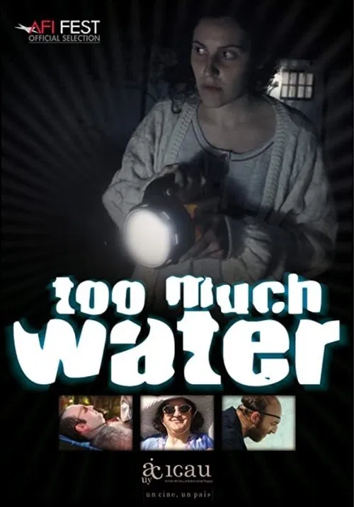 Poster do filme Too Much Water