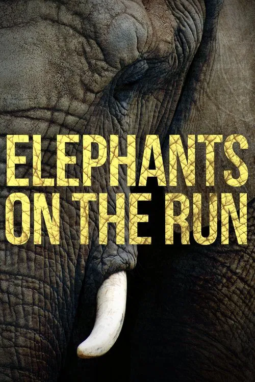 Poster do filme Elephants on the Run