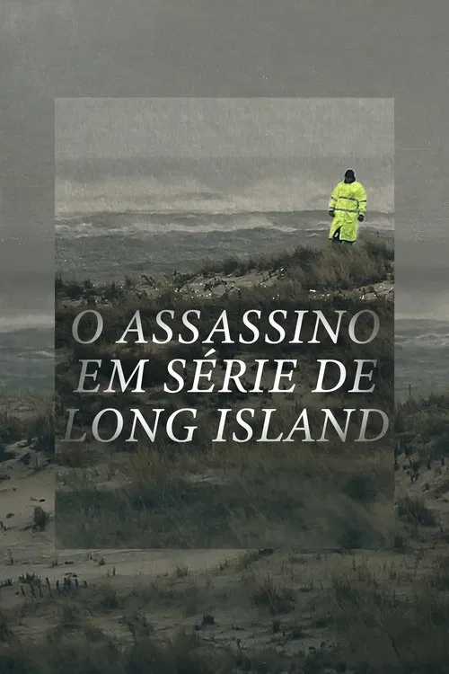 Poster do filme O Assassino em Série de Long Island