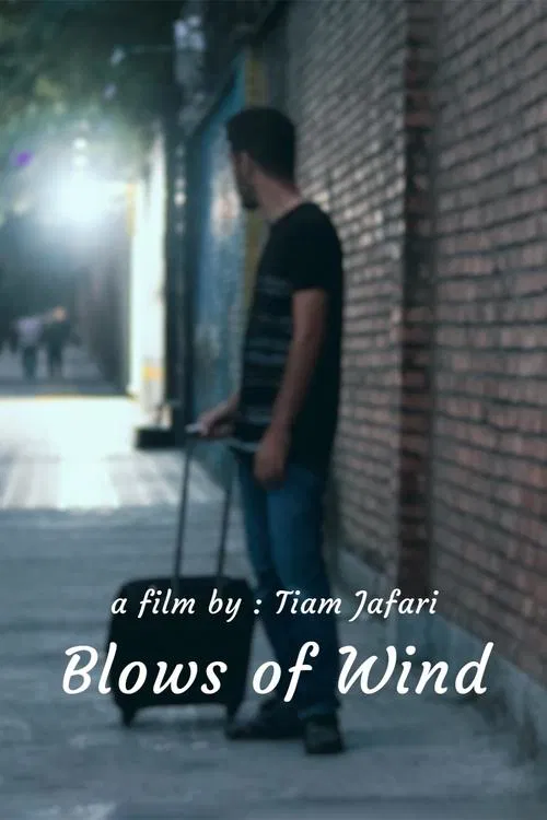 Poster do filme Blows of Wind