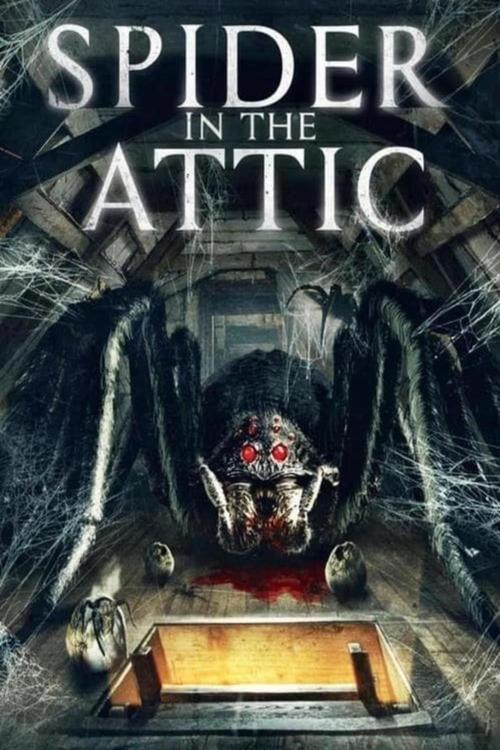 Spider in the Attic movie poster
