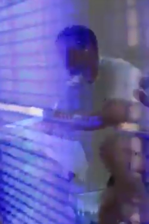 The World of the Hard and the Soft movie poster