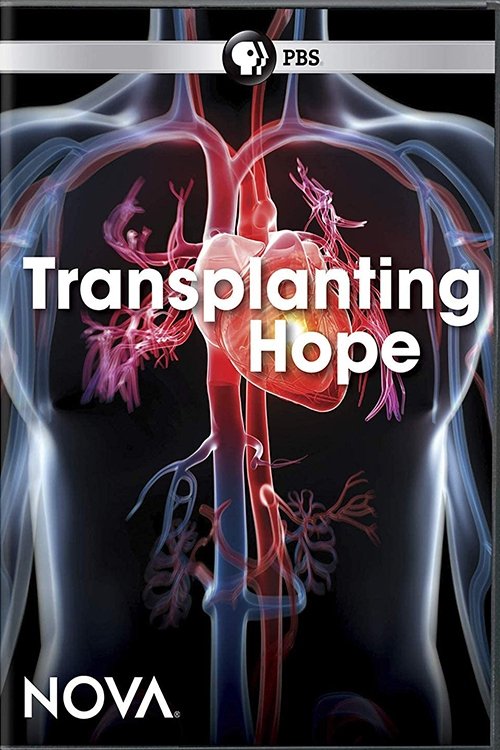 Poster do filme Transplanting Hope
