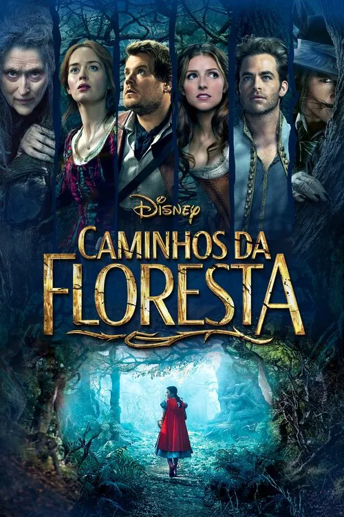 Poster do filme Caminhos da Floresta