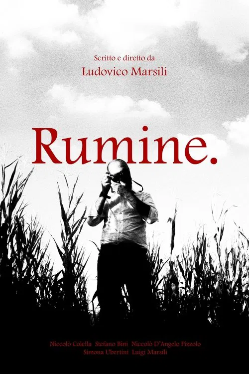 Rumine. movie poster