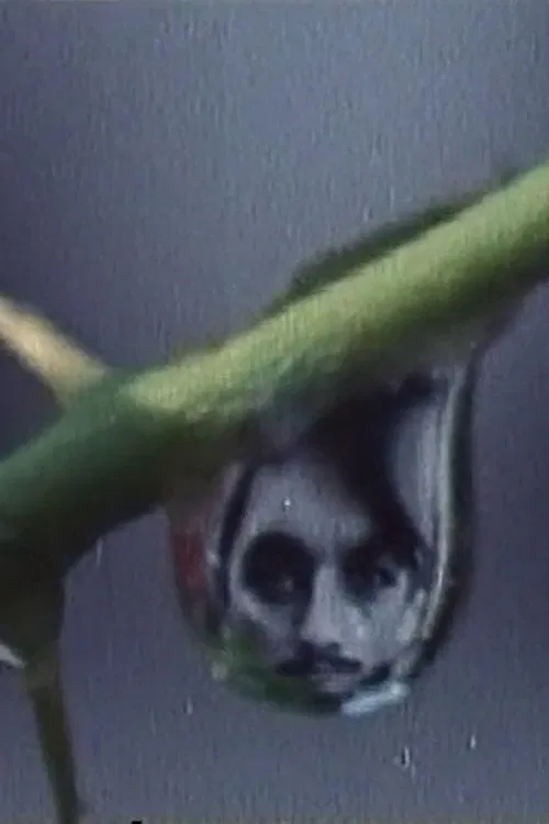 Poster do filme Rites of Spring