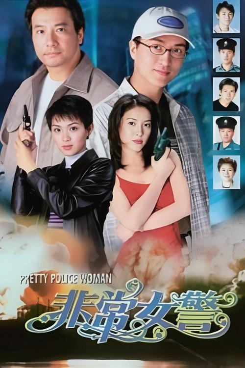 Pretty Police Woman tv show poster