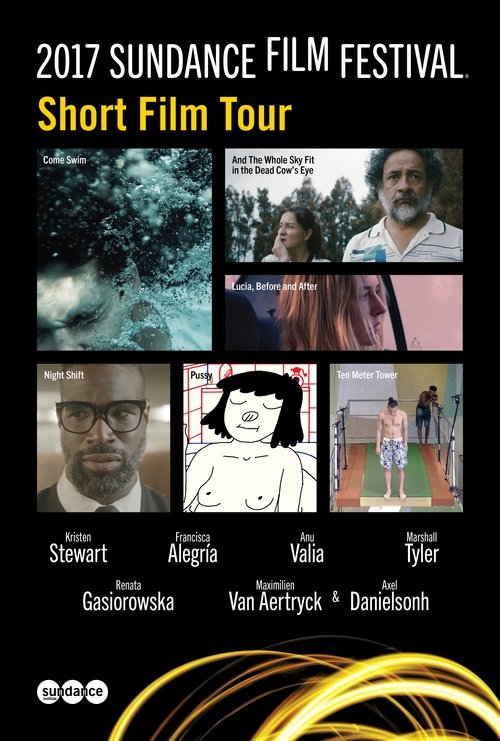 2017 Sundance Film Festival Short Film Tour movie poster