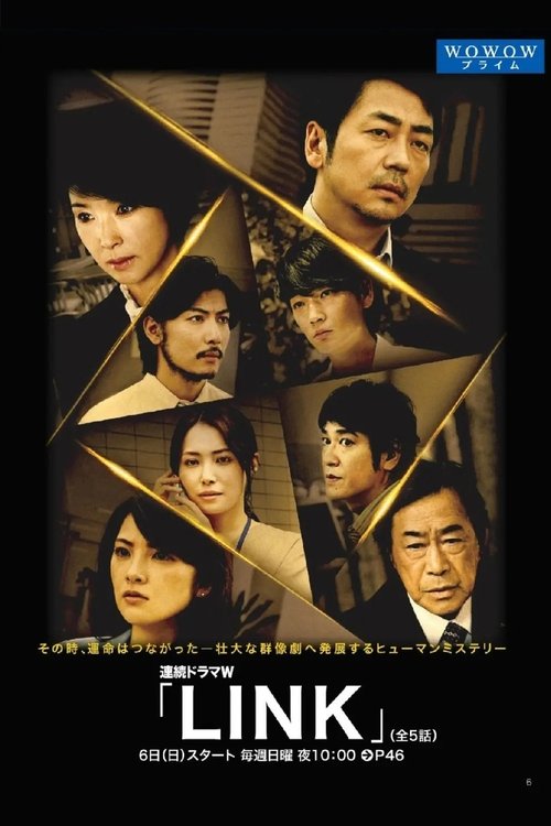 LINK tv show poster