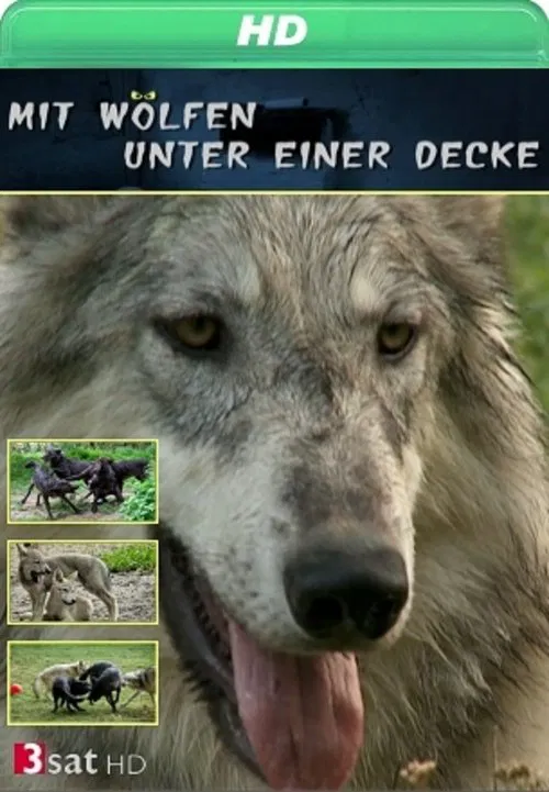 Mit Wölfen unter einer Decke tv show poster