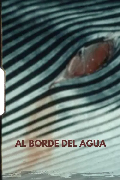 Beside the Water movie poster
