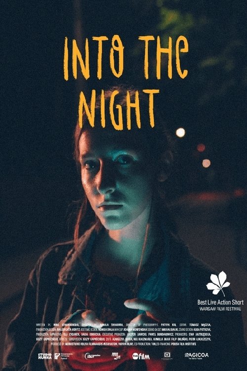 Into the Night movie poster