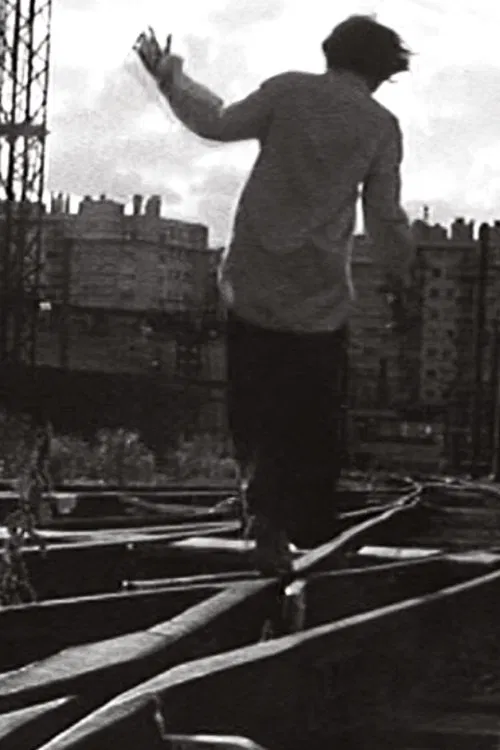 Poster do filme Promenaux