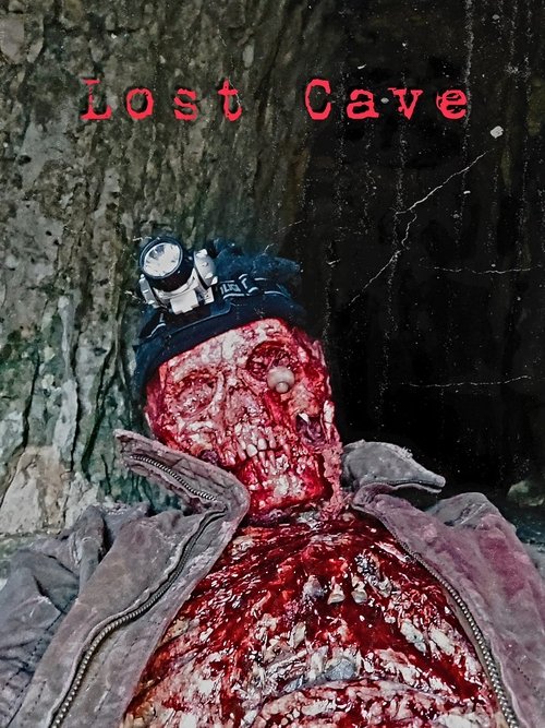 Lost Cave movie poster