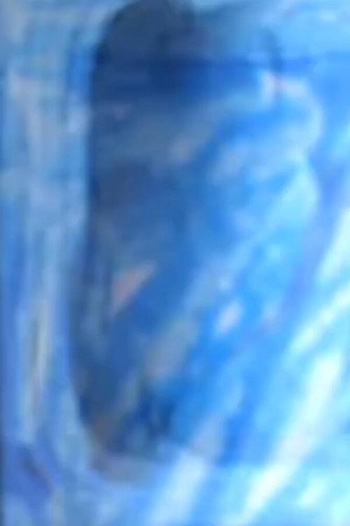 Le Mur (wall) - 2 movie poster