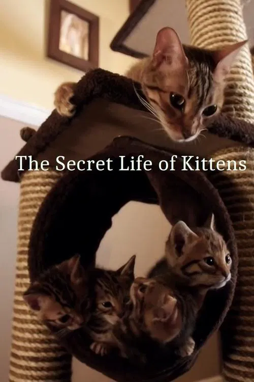 The Secret Life of Kittens tv show poster